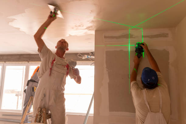 Best Fire-Damaged Drywall Repair  in Fall City, WA